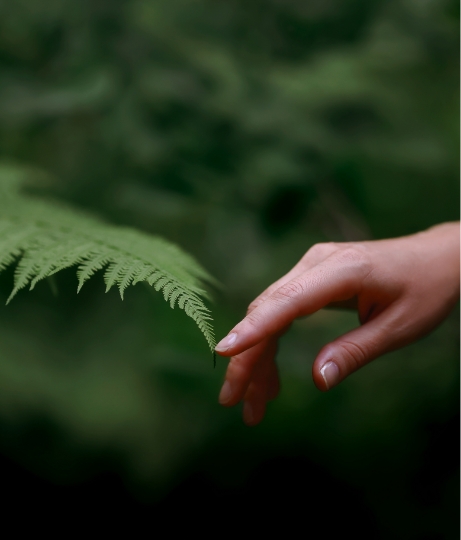 Botanical Diversity