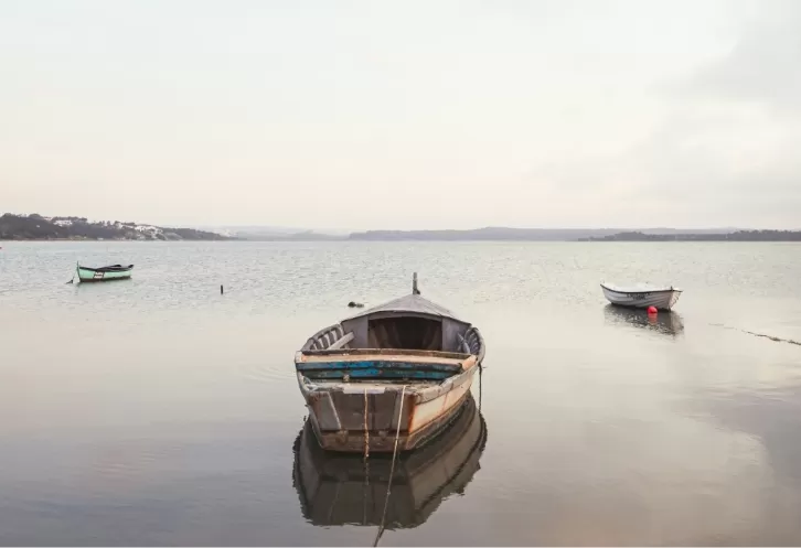 Discover Westlake Resort Boat