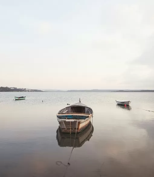 Discover Westlake Resort Boat