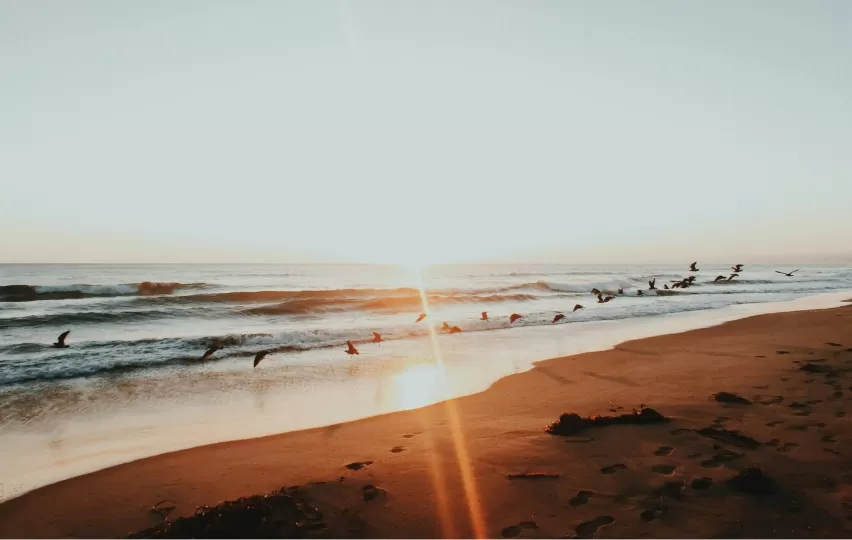 Discover Westlake Resort beach