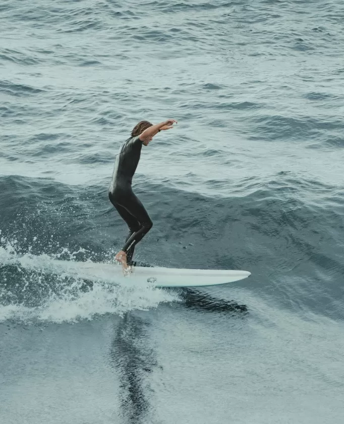 Gallery surf