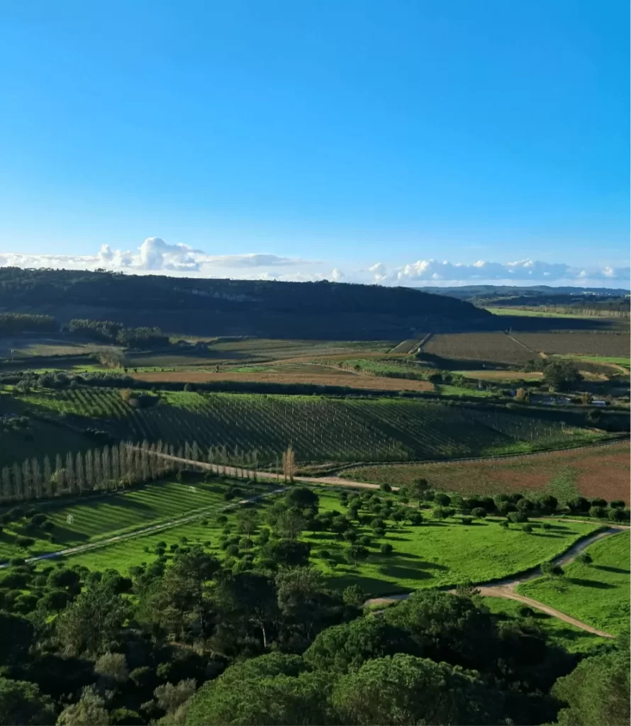Westlake Óbidos