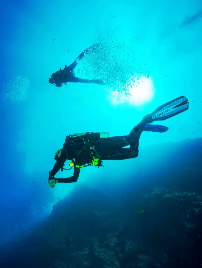 Activities Diving