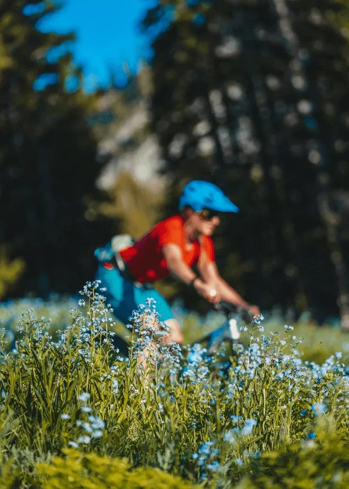 Activities Bike Trails