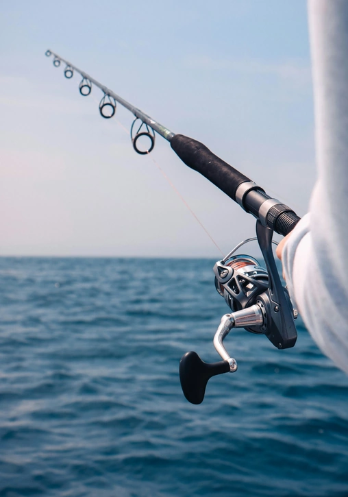 Activities Sport Fishing