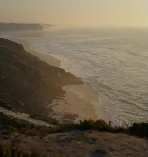 Gallery beach